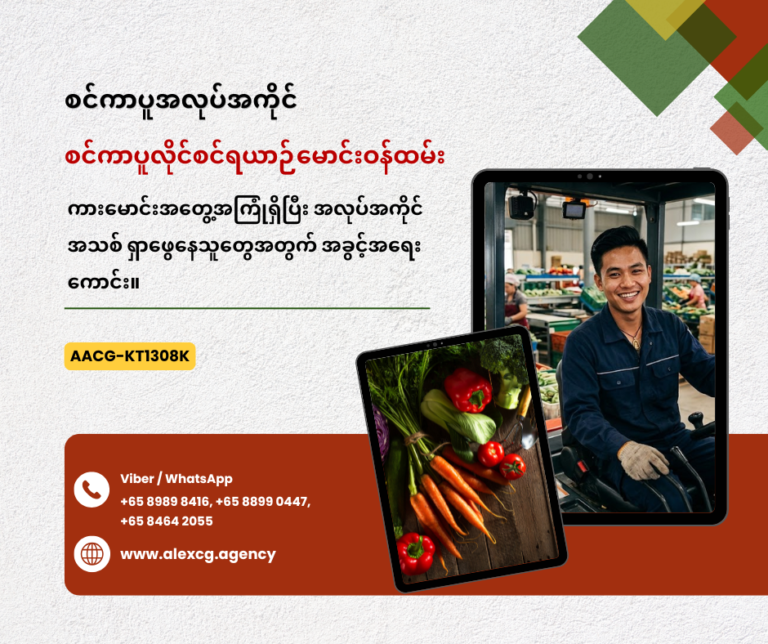 စင်ကာပူလိုင်စင်ရယာဉ်မောင်းဝန်ထမ်း