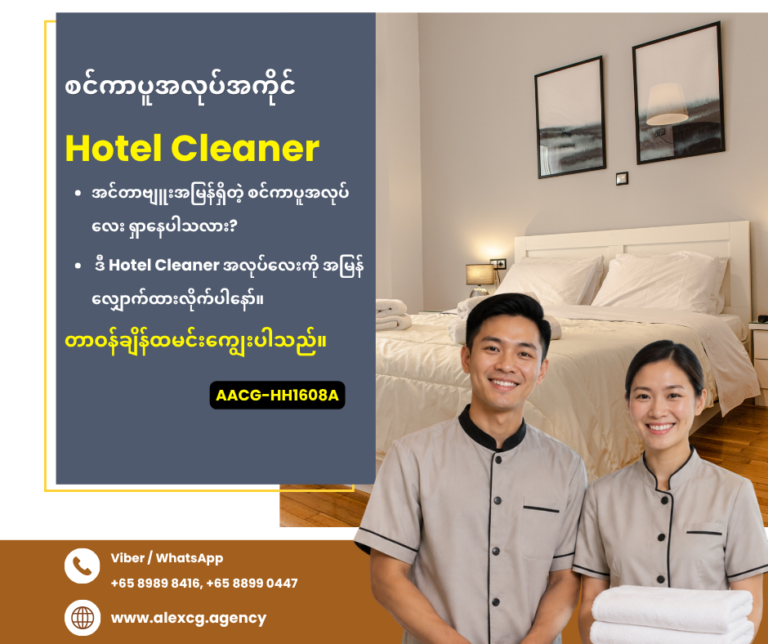 Hotel Cleaner