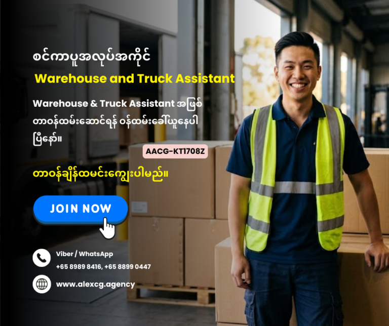 Warehouse and Truck Assistant