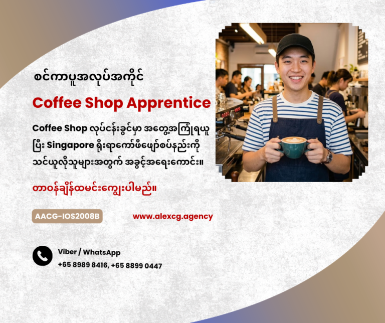 Coffee Shop Apprentice