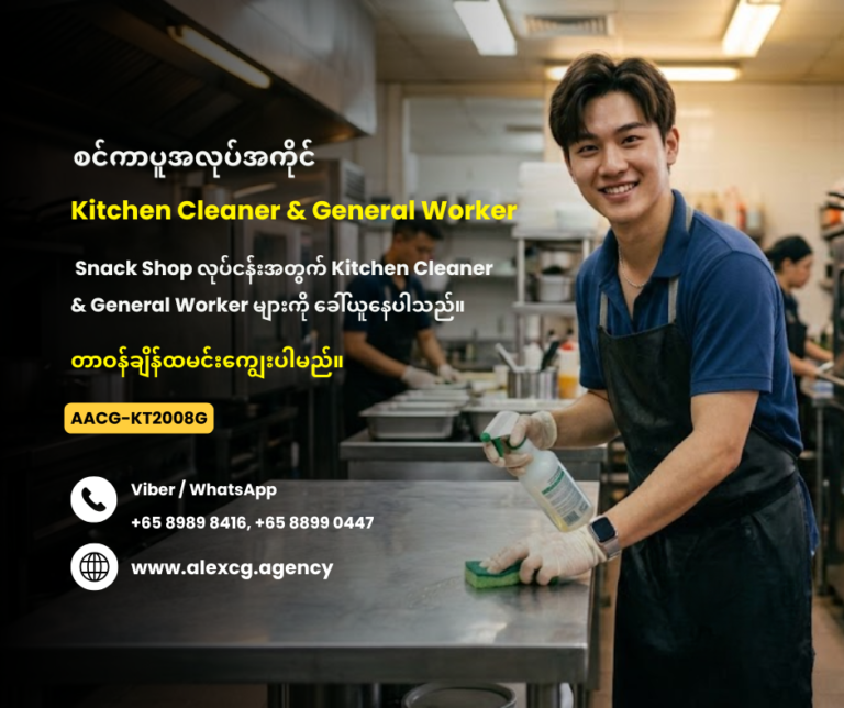 Kitchen Cleaner & General Worker