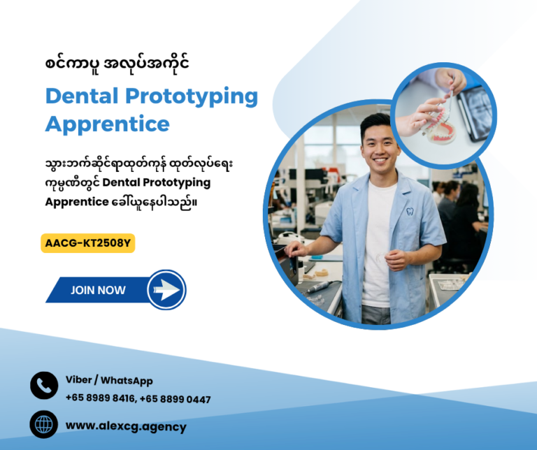 Dental Prototyping Apprentice