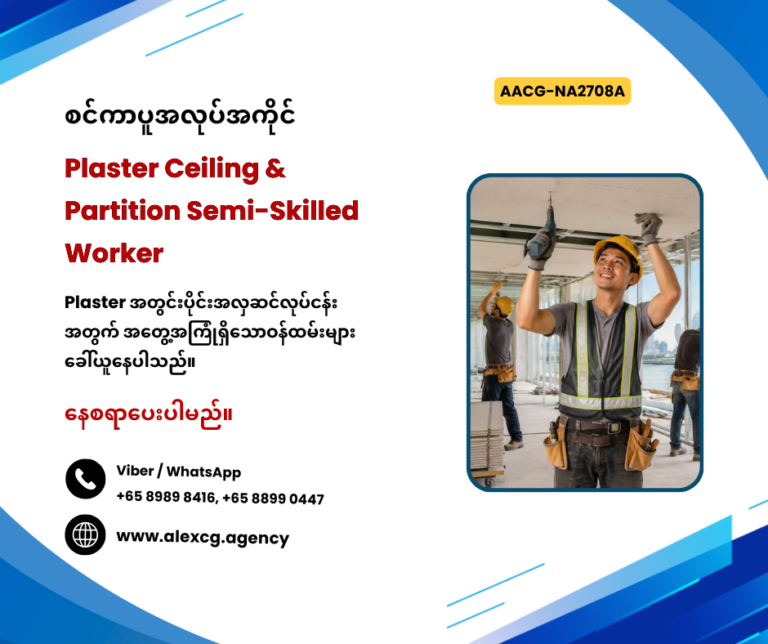 Plaster Ceiling & Partition Semi-Skilled Worker