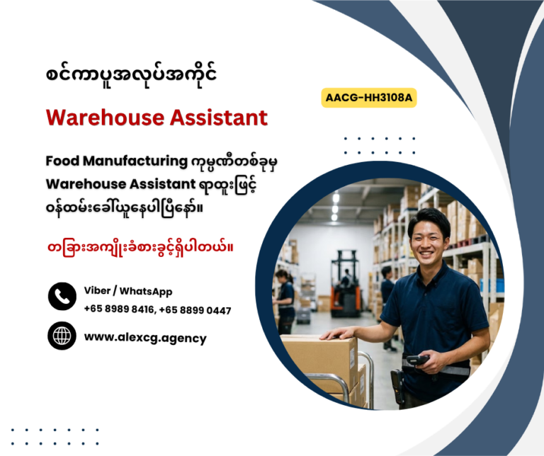 Warehouse Assistant