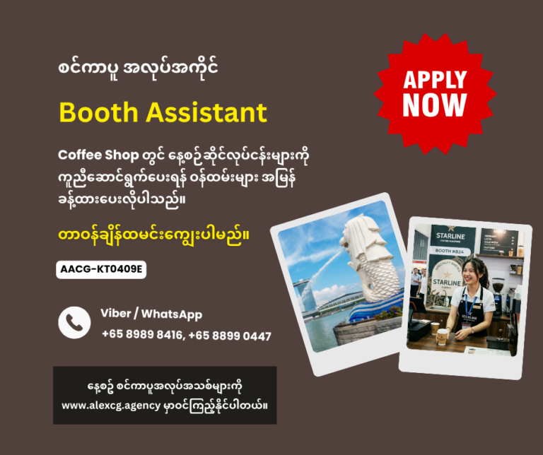 Booth Assistant