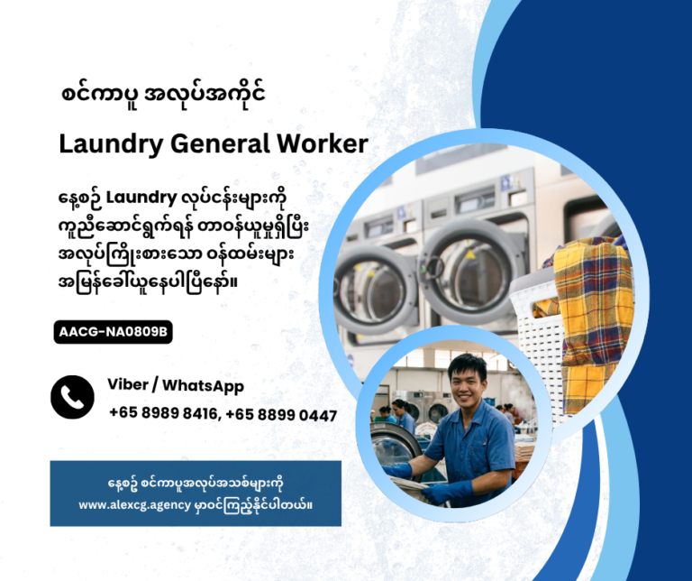 Laundry General Worker
