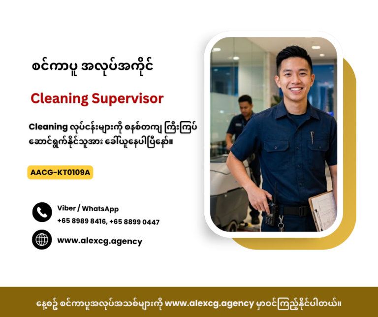 Cleaning Supervisor