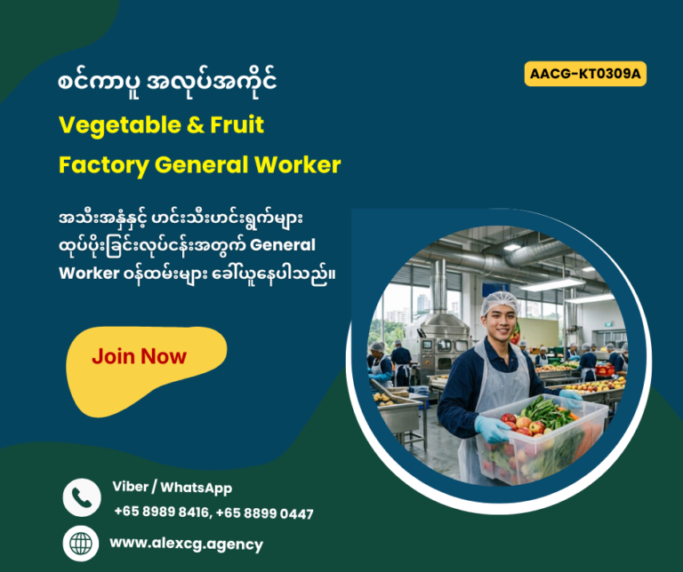 Vegetable & Fruit Factory General Worker