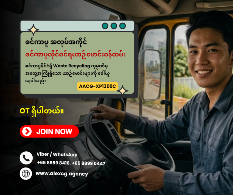 စင်ကာပူလိုင်စင်ရယာဉ်မောင်းဝန်ထမ်း