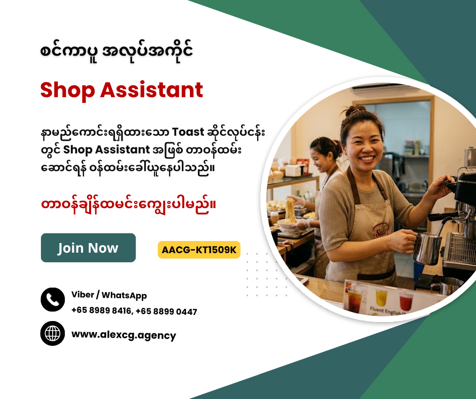 Shop Assistant